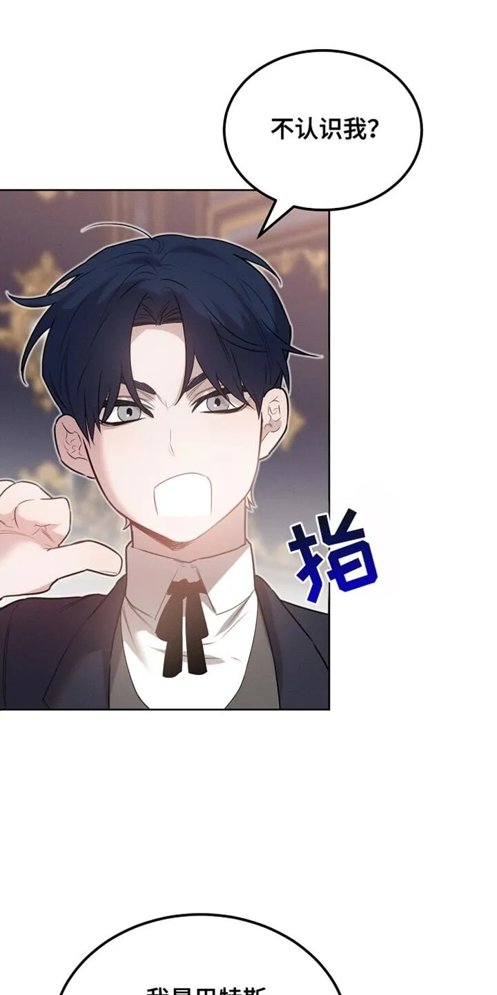 第63章：只是客人 第1页