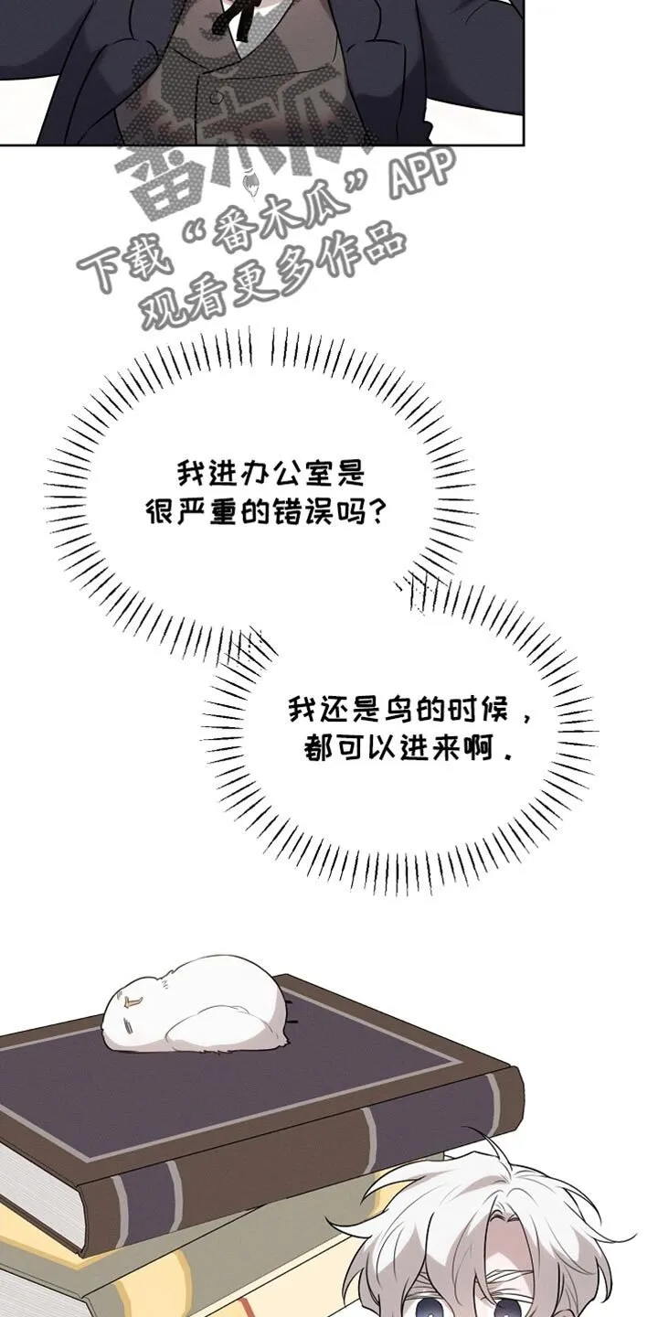 第63章：只是客人 第19页