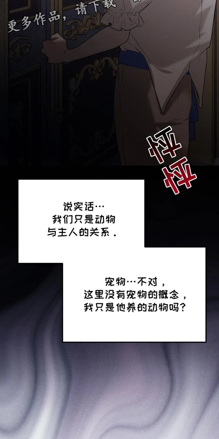 第63章：只是客人 第27页