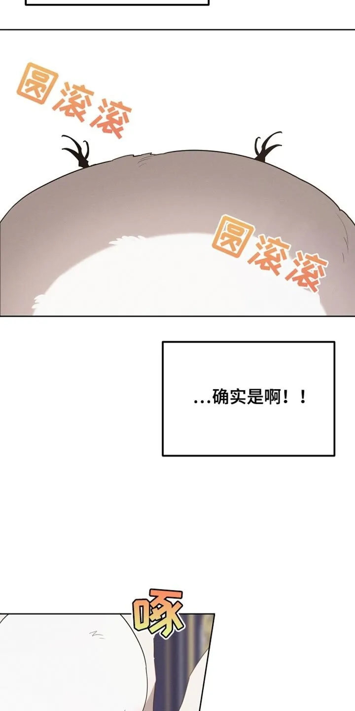 第69章：随意变身 第14页