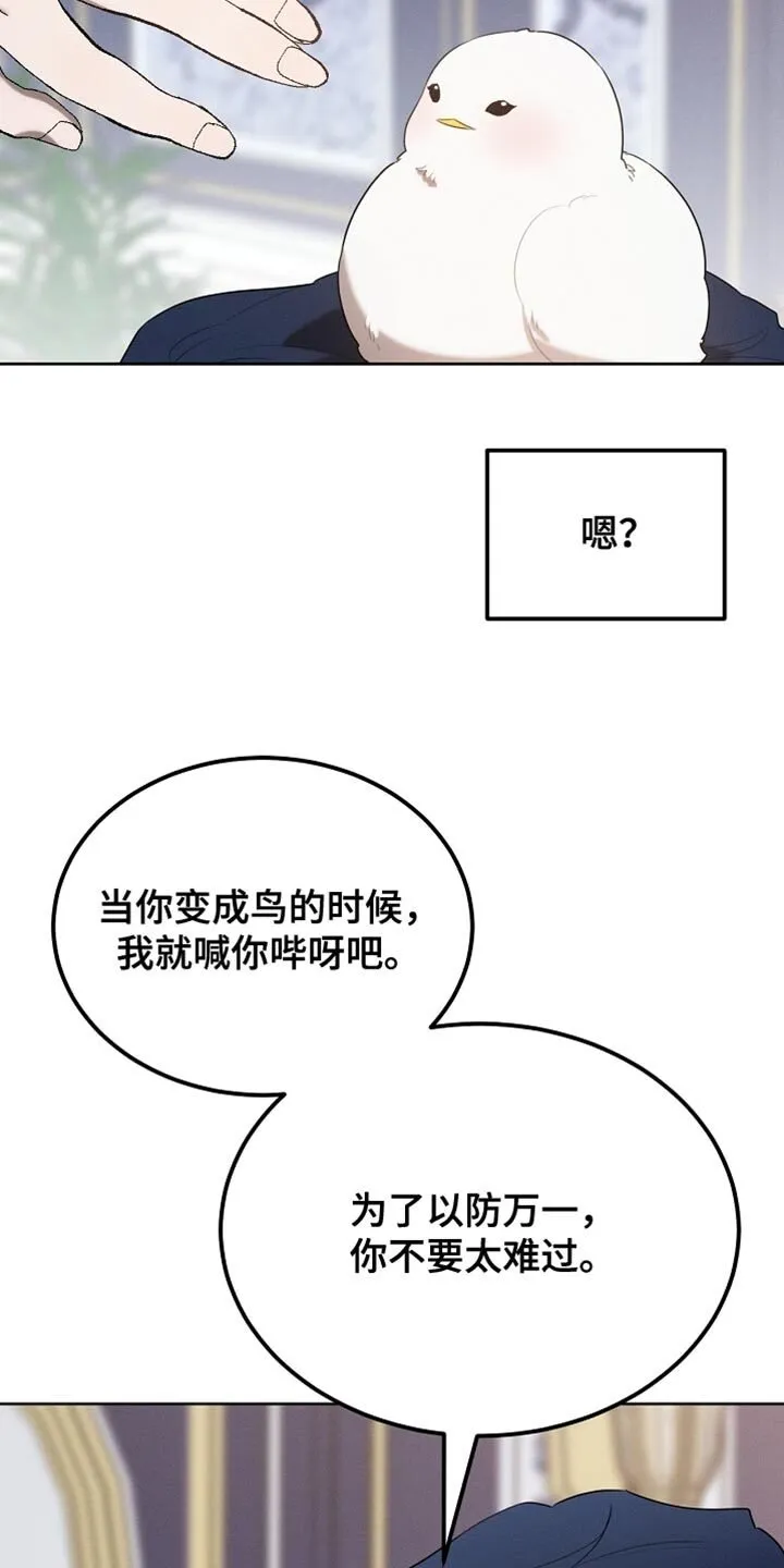 第69章：随意变身 第21页