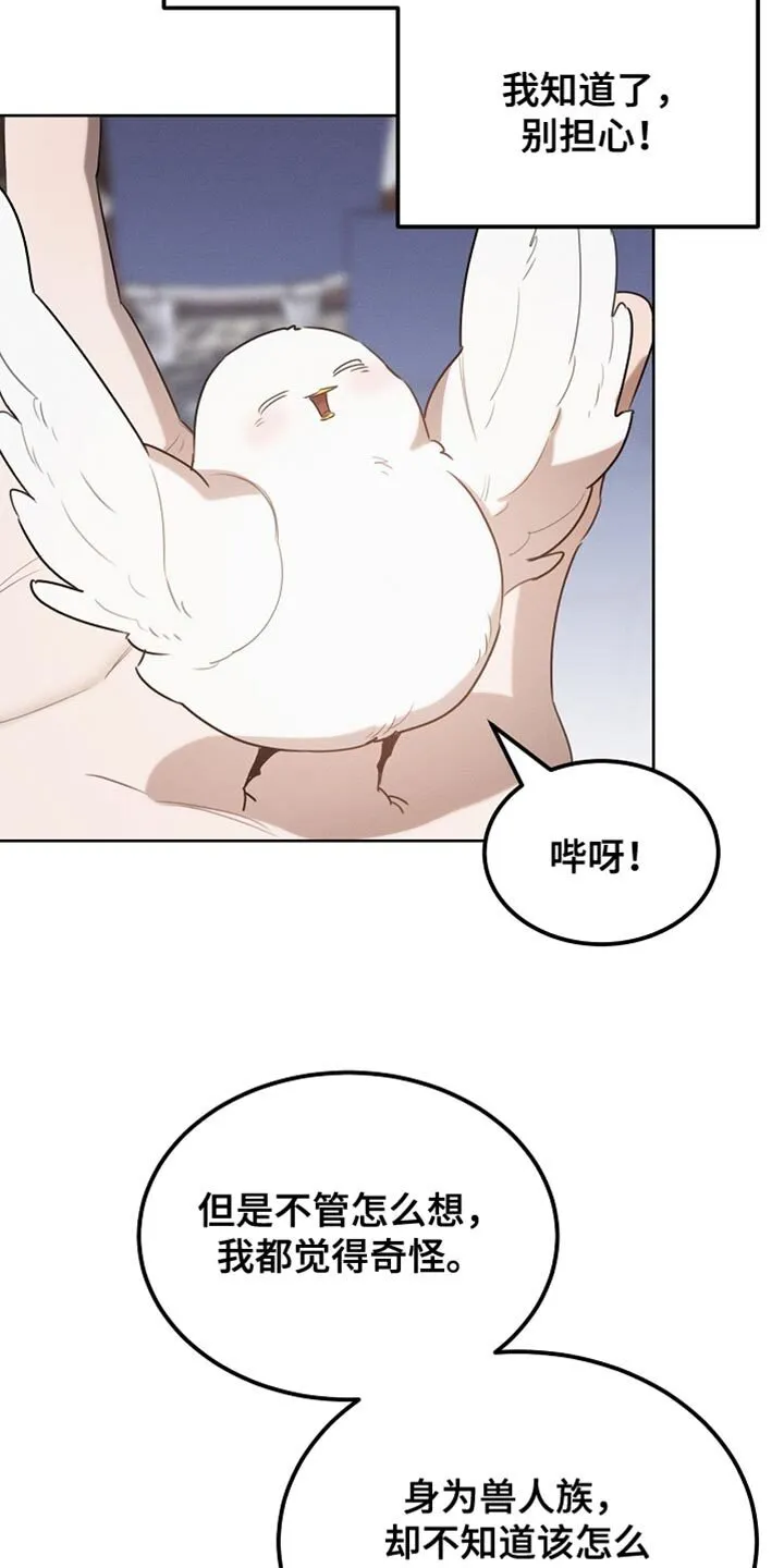 第69章：随意变身 第23页