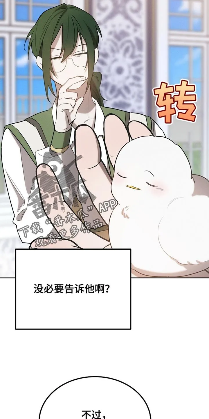 第69章：随意变身 第25页