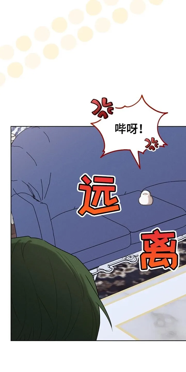 第70章：我稍微明白了 第10页