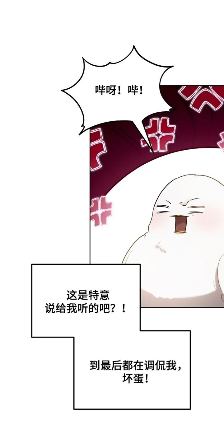 第70章：我稍微明白了 第13页