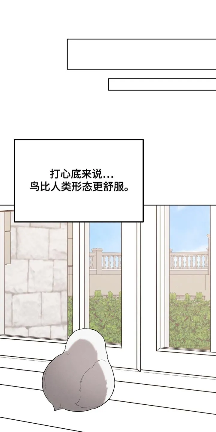 第70章：我稍微明白了 第20页