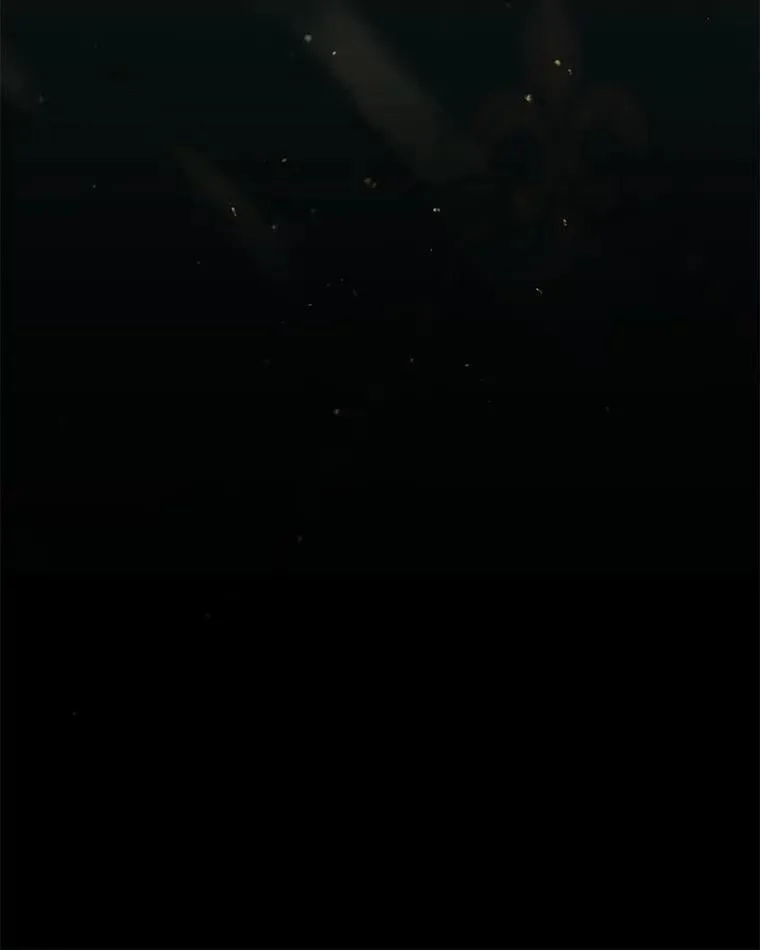 101.二十一岁 第79页