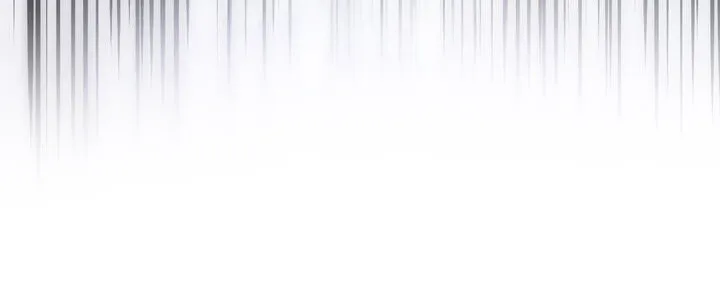 第3章： 唯一的作用 第11页