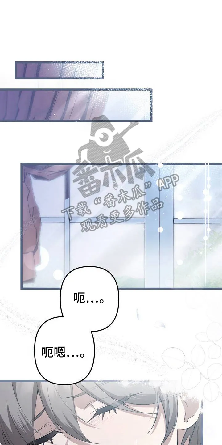 第3章： 唯一的作用 第12页