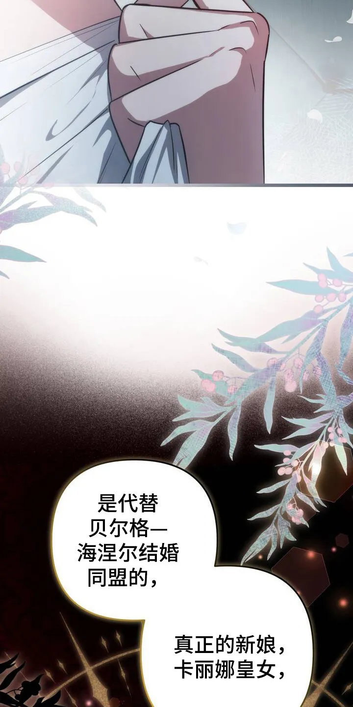 第3章： 唯一的作用 第23页