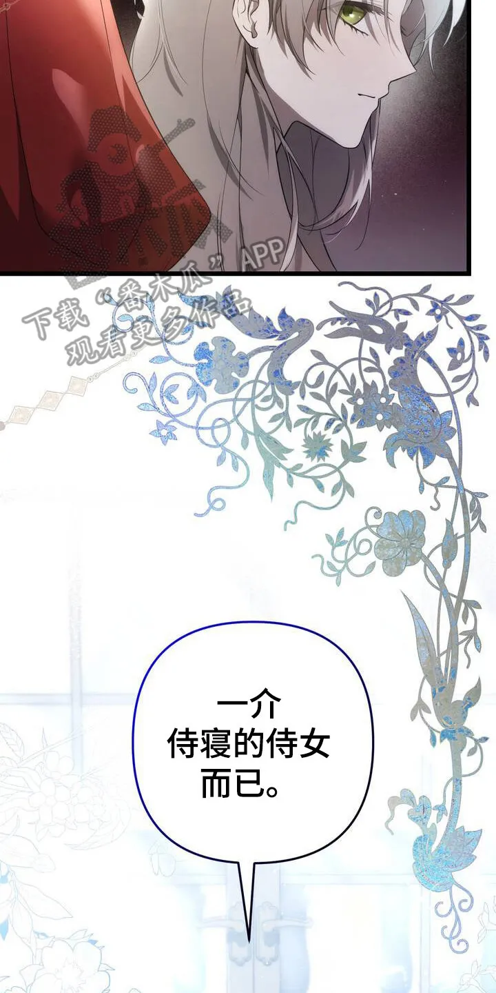 第3章： 唯一的作用 第27页