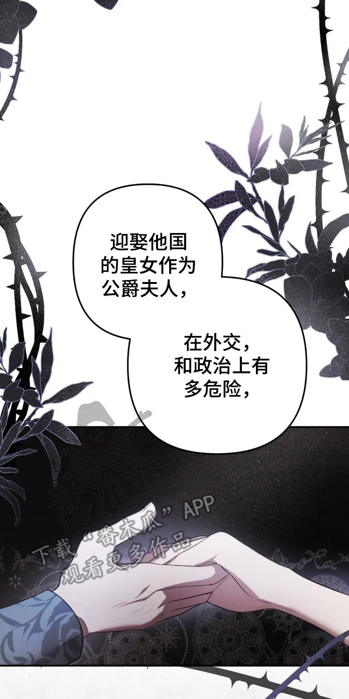第4章：议论 第14页