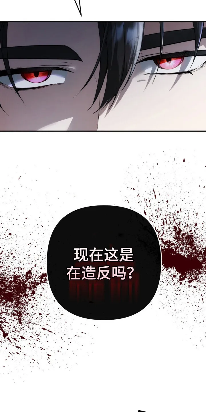 第5章：代理新娘 第12页