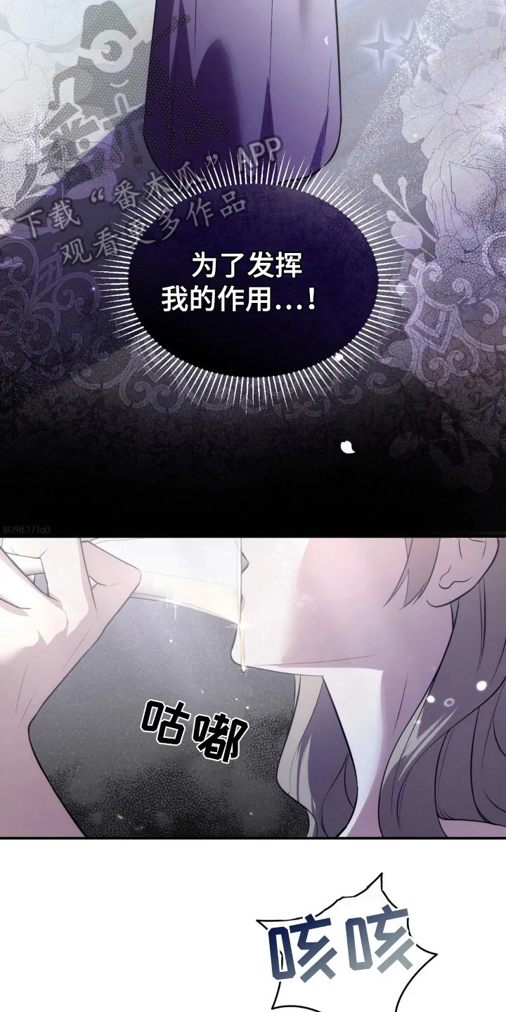 第11章：履行职责 第17页