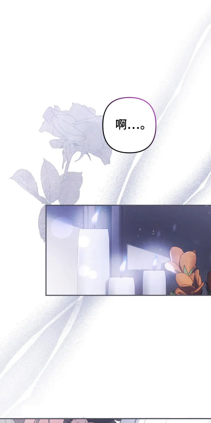 第11章：履行职责 第24页