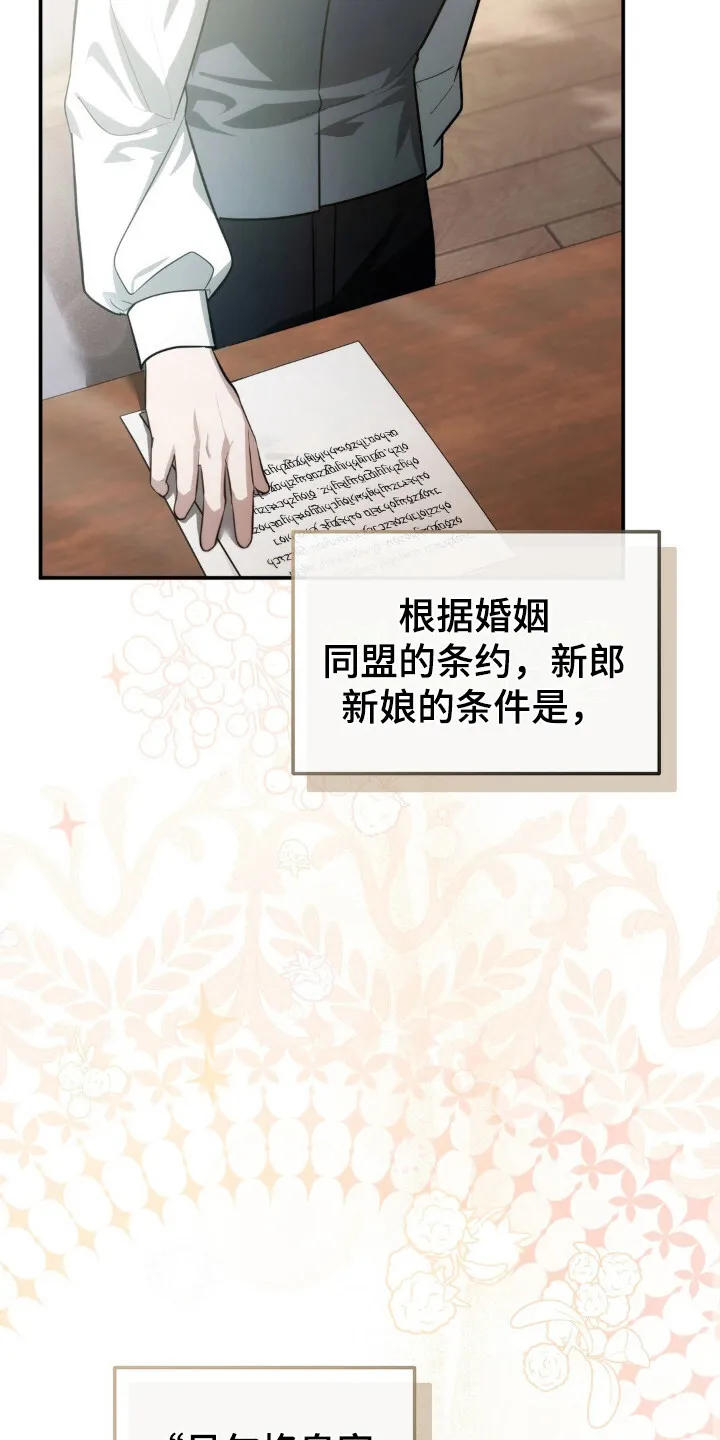 第10章：皇命 第13页