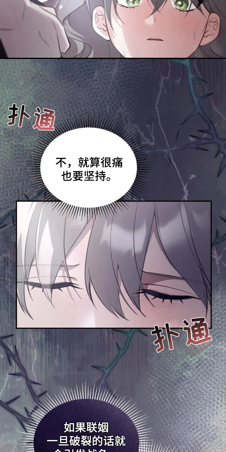 第12章：别无选择 第13页