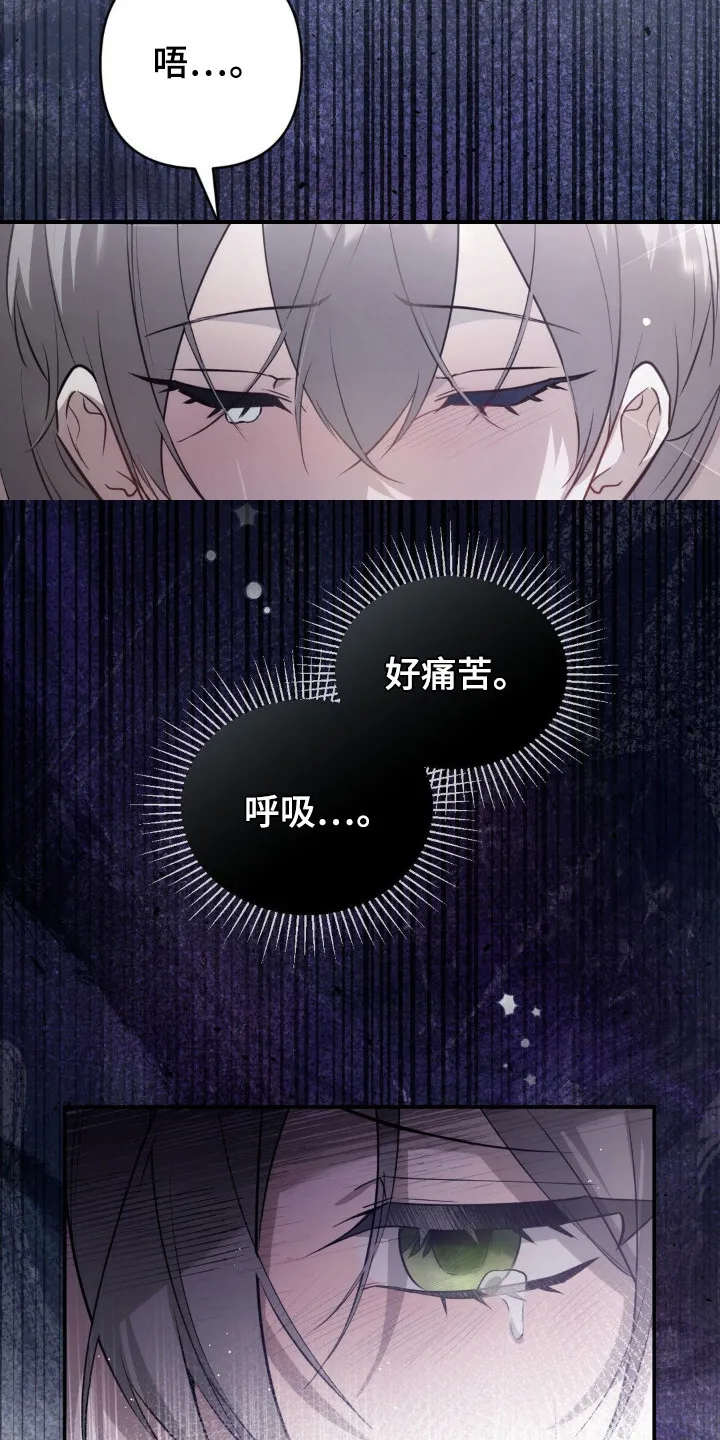 第14章：觉悟 第27页