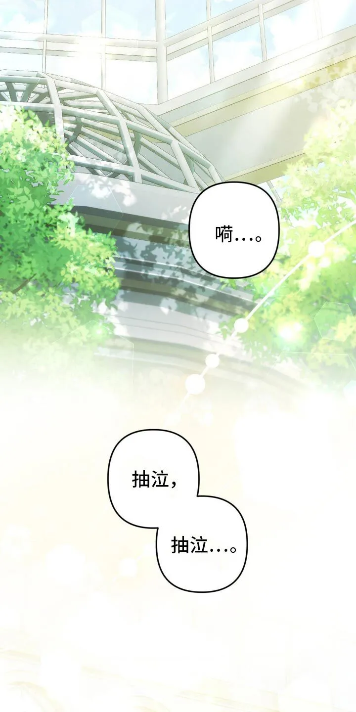 第23章：为什么哭 第20页