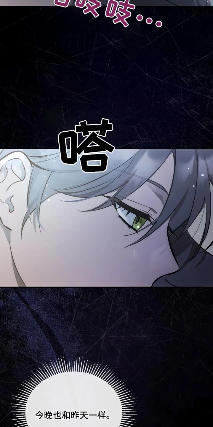 第28章：虚假的 第13页
