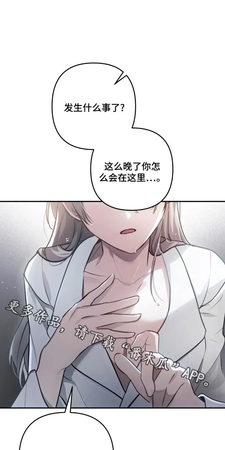 第37章：间谍身份 第1页