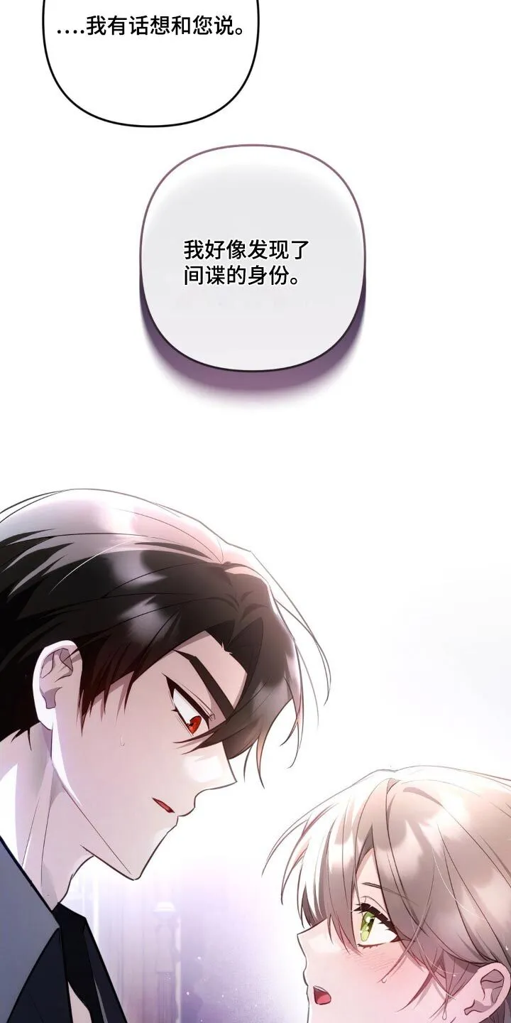 第37章：间谍身份 第2页