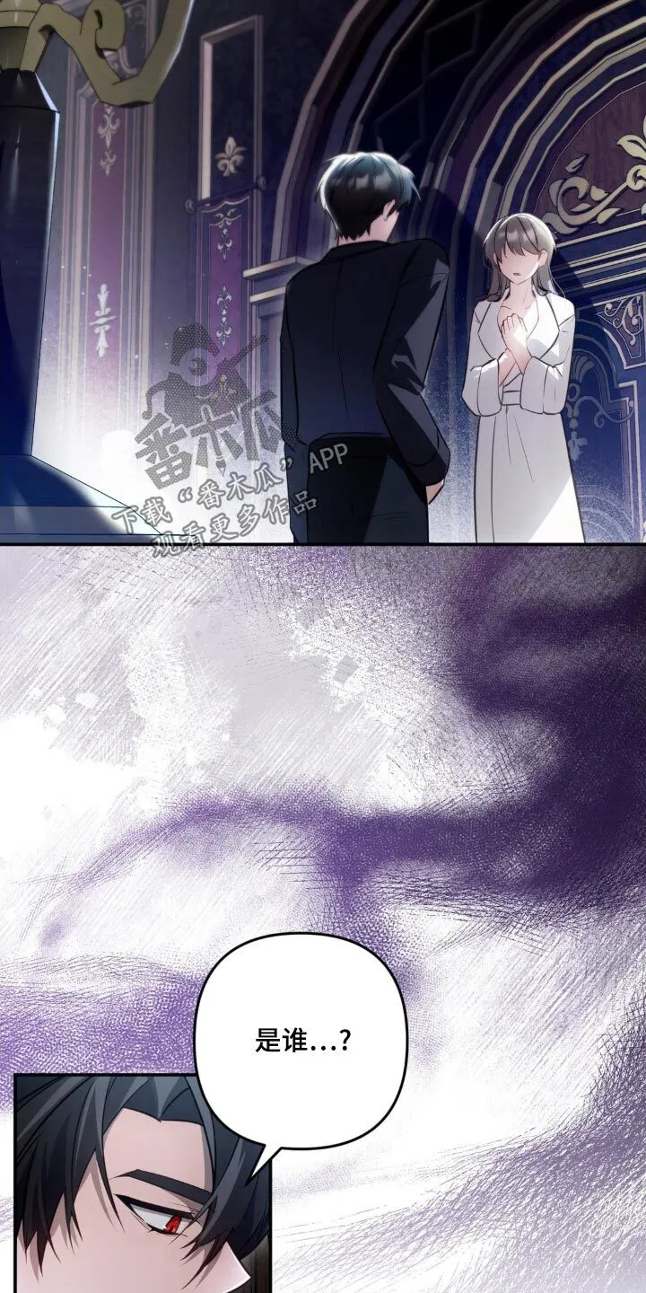 第37章：间谍身份 第4页