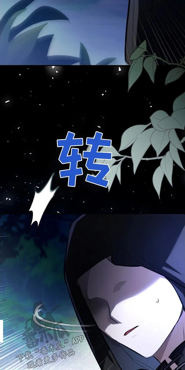 第37章：间谍身份 第9页