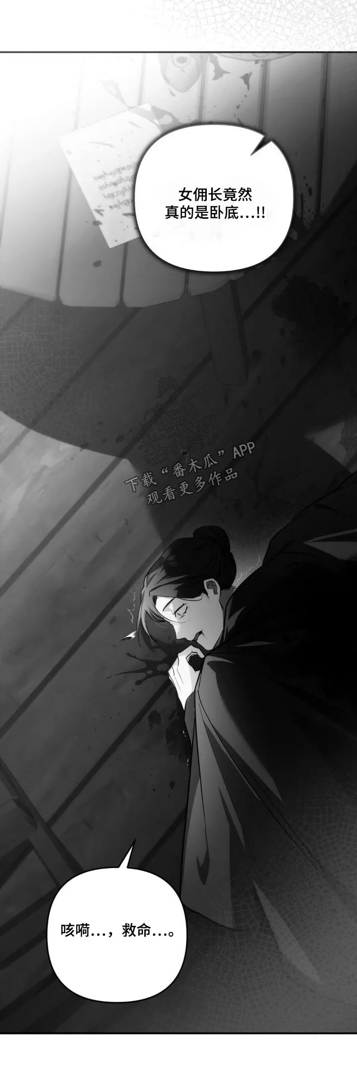 第37章：间谍身份 第25页