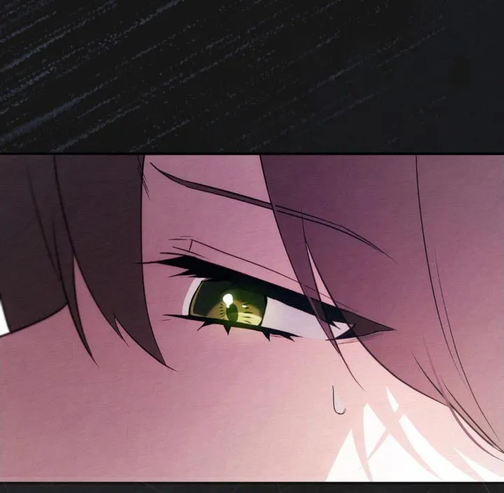 第41章：画像 第27页