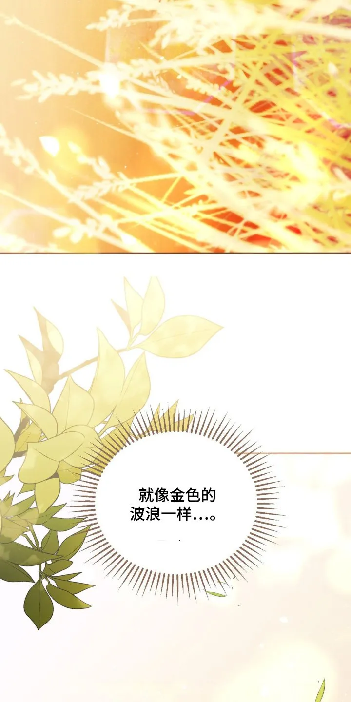 第74章：这里的理由 第9页