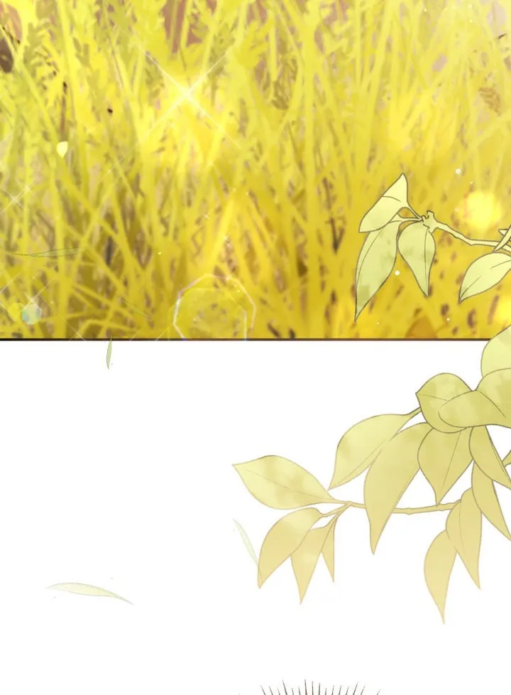 第74章：这里的理由 第12页