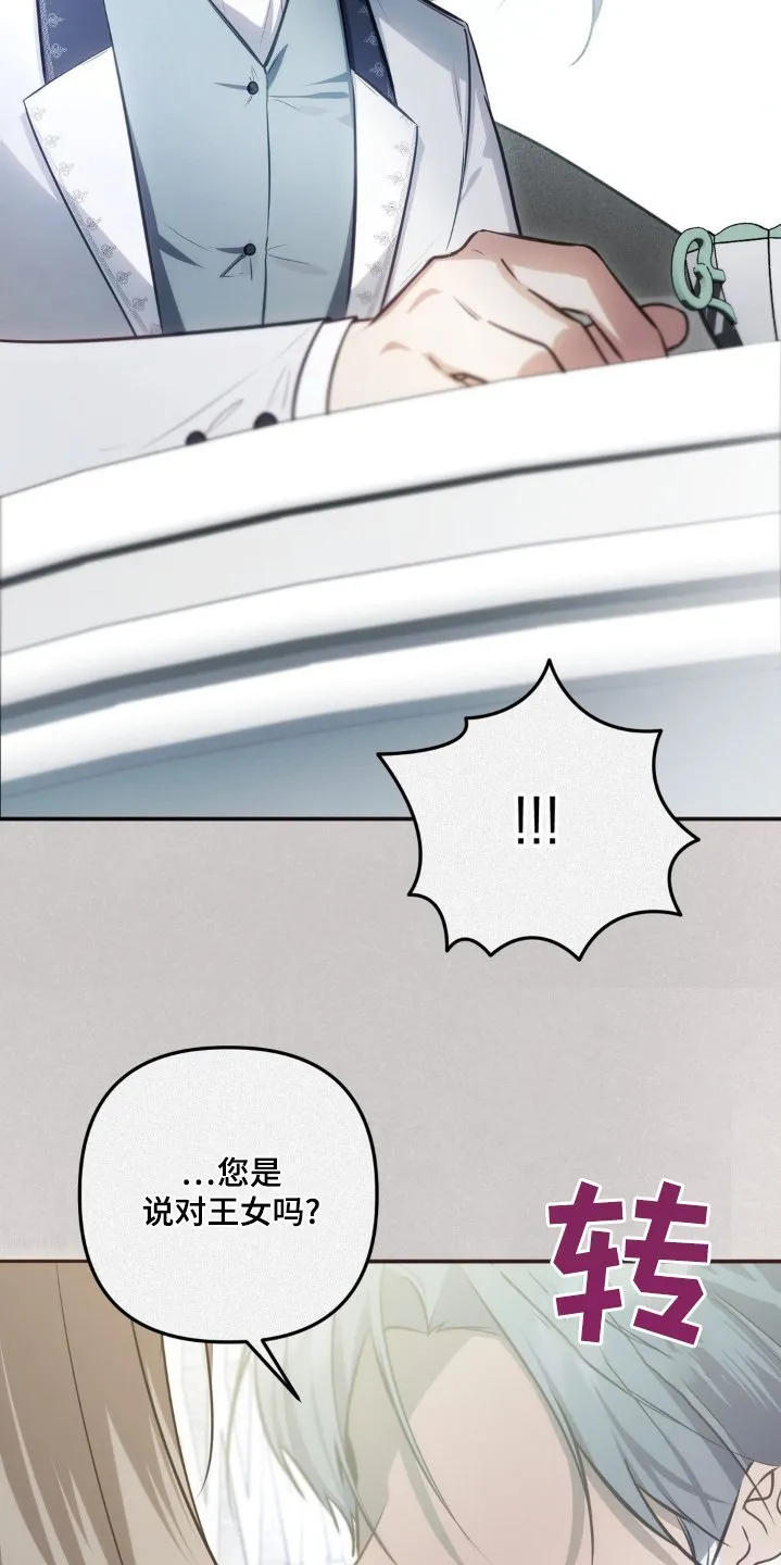 第79章：我的荣幸 第29页