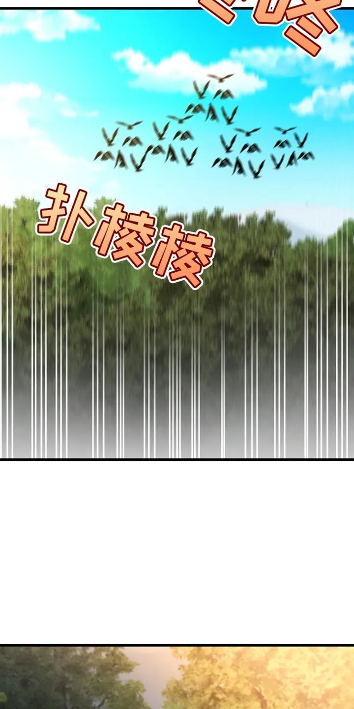 第41章：我要亲自进去 第17页