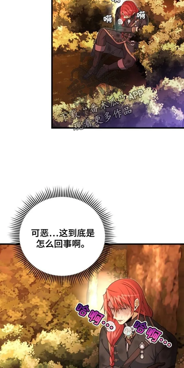 第41章：我要亲自进去 第43页