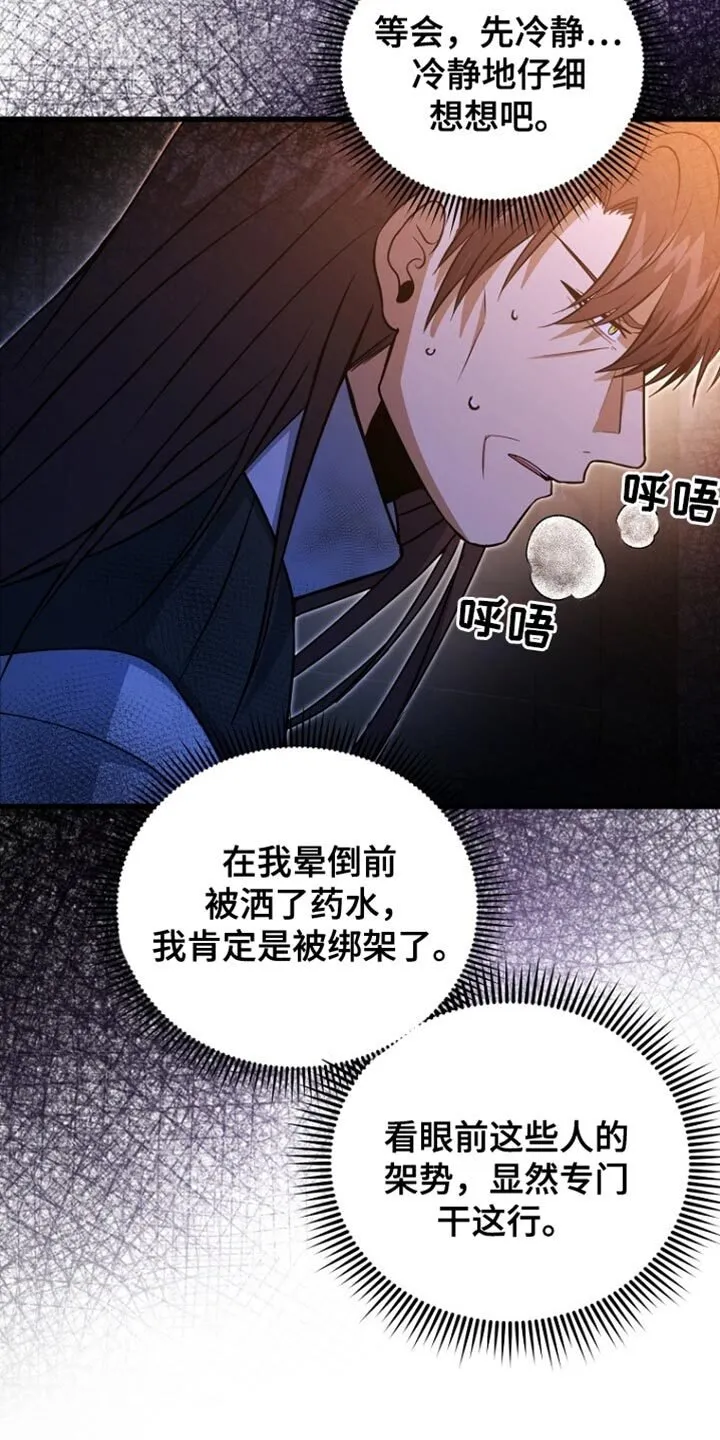 第61章：绑架 第8页