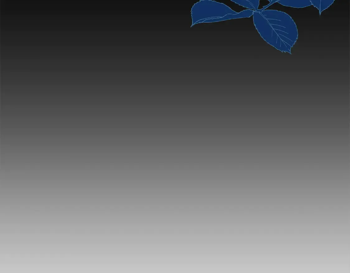 第12话 我没偷项链 第41页