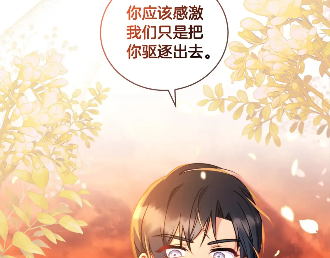 第15话 专属侍女 第166页