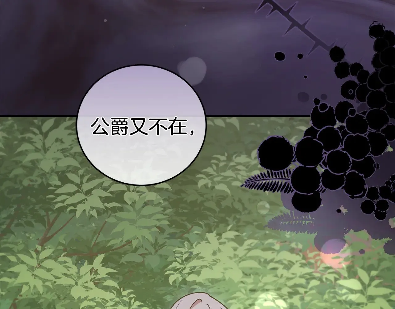 第48话 生日宴会 第213页