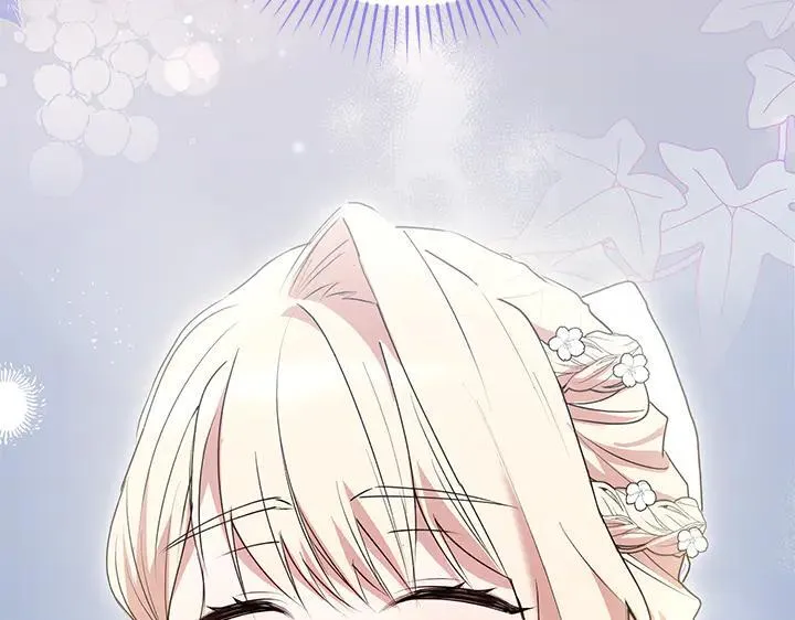 第73话 护花使者 第217页