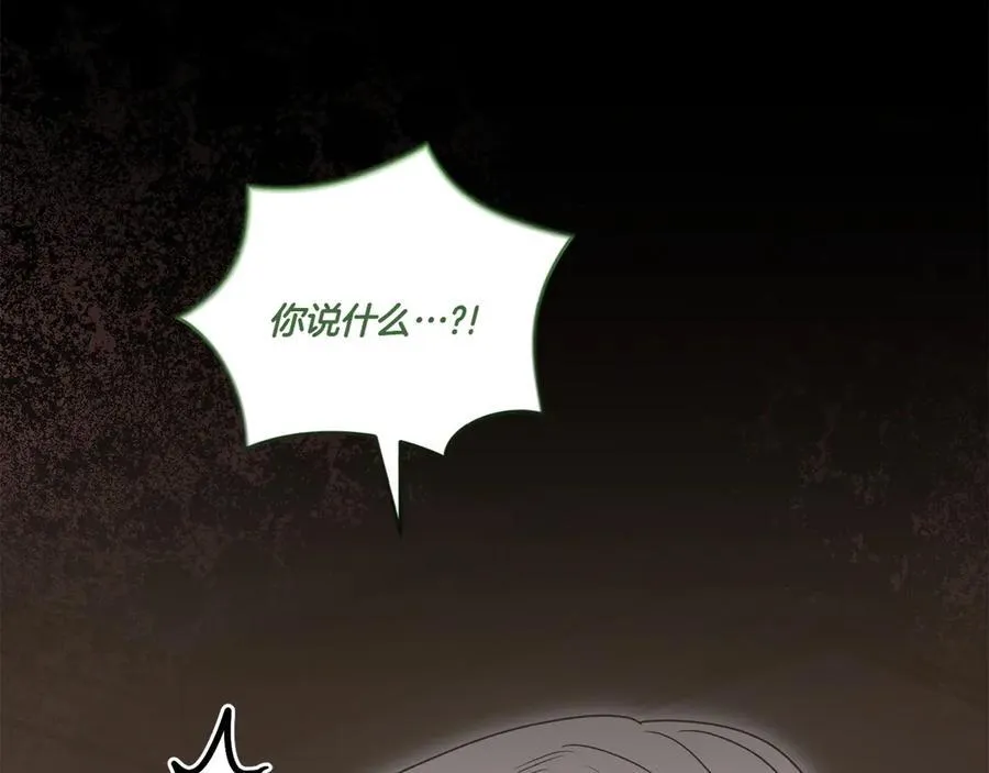 第85话 层层保护 第27页
