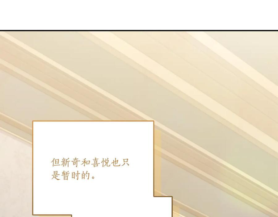 完结篇 完整的家庭 第50页