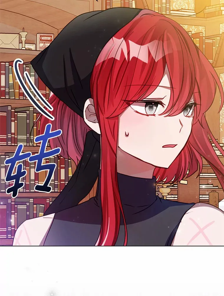 4.卡伊安的订单 第22页