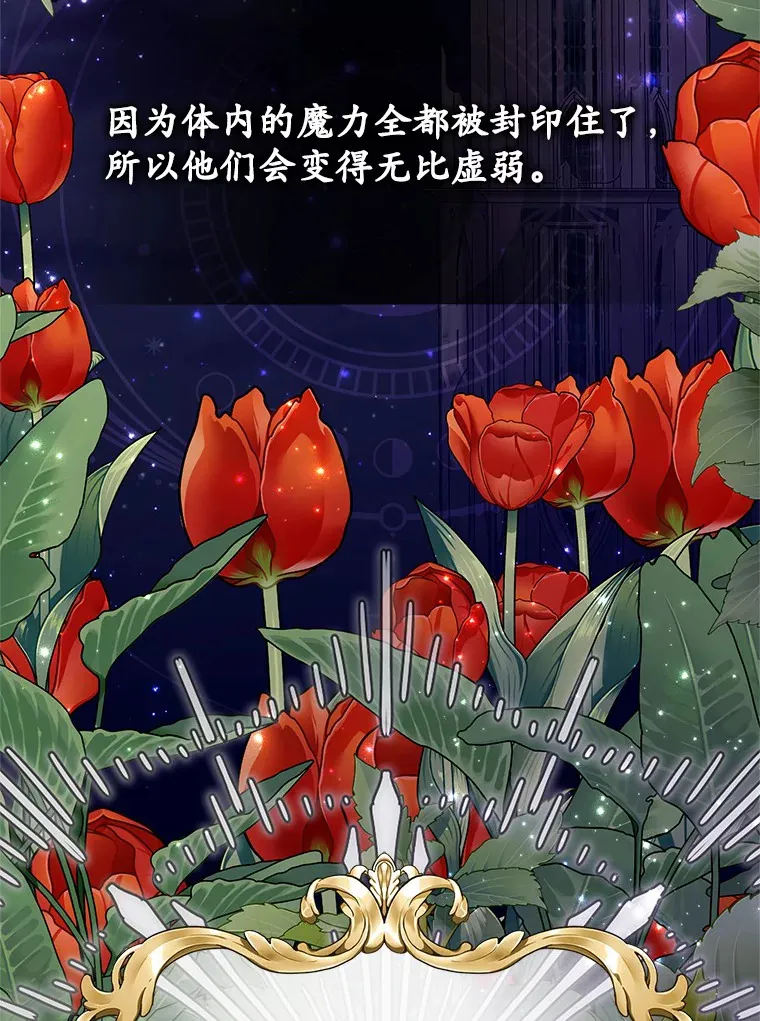 4.卡伊安的订单 第103页
