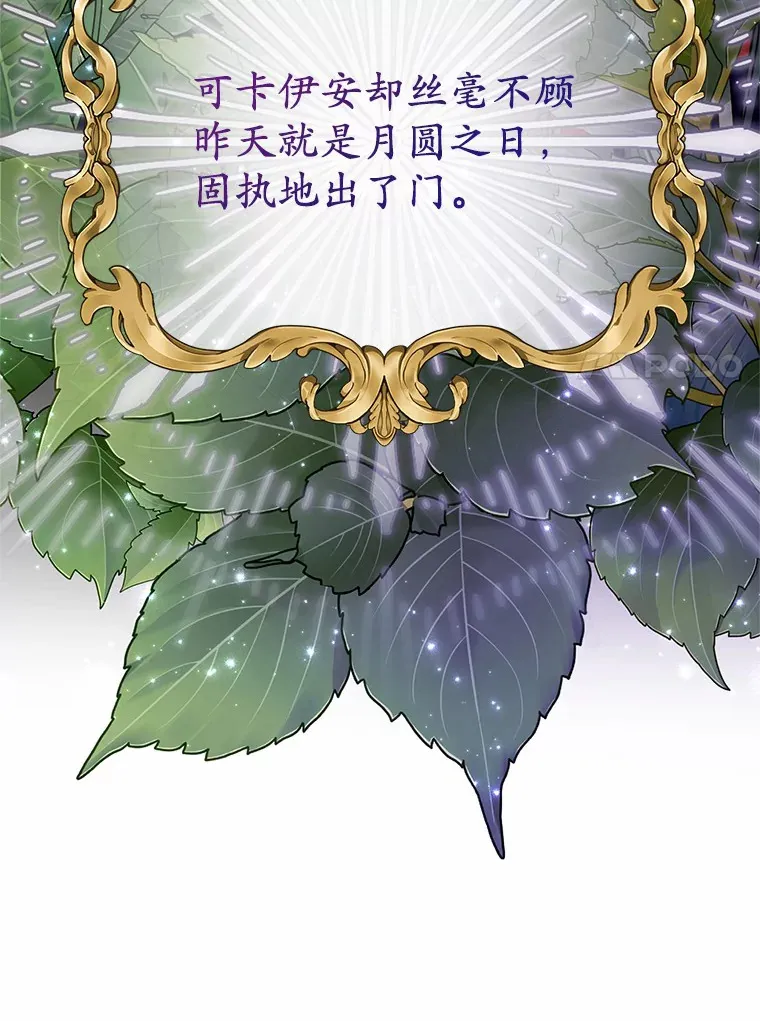 4.卡伊安的订单 第104页