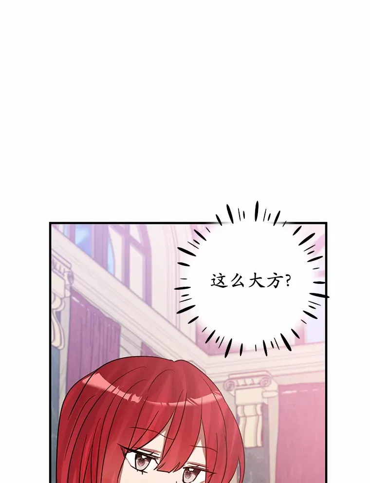 17.总负责人的骗局 第26页