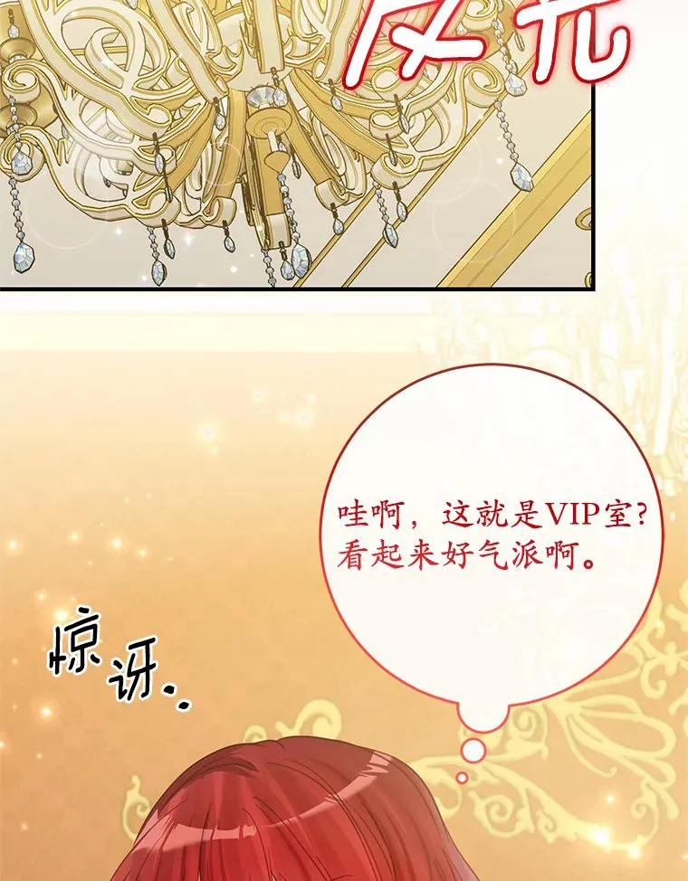 17.总负责人的骗局 第33页