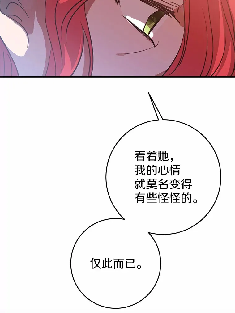 17.总负责人的骗局 第95页