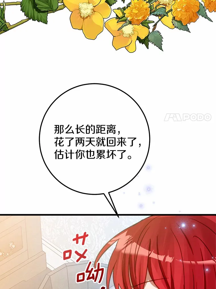 41.新订单 第11页
