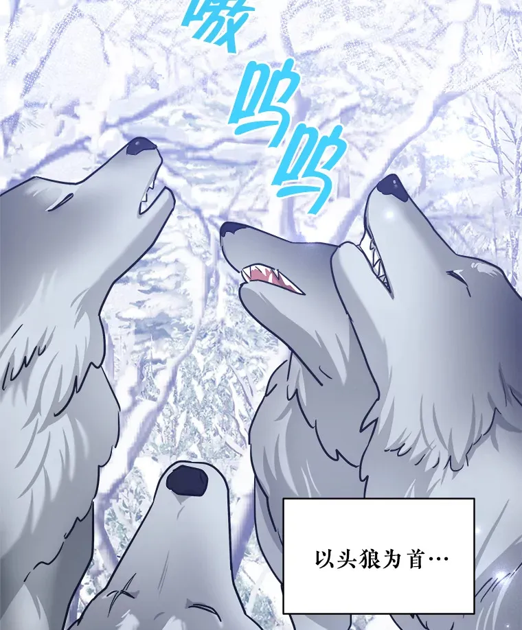 28.调查 第66页